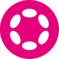 polkadot icon